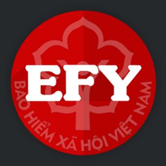 EFY – Nhà cung cấp dịch vụ BHXH điện tử (ivan) lớn nhất