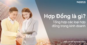 các loại hợp đồng