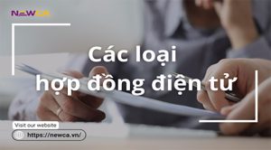 Các loại hợp đồng điện tử phổ biến nhất theo 2 hình thức