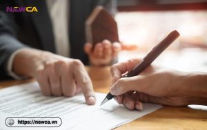 Thông tin cần nắm rõ về hợp đồng ủy thác đầu tư
