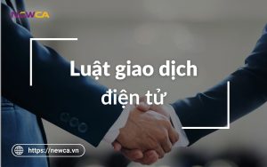 Luật giao dịch điện tử có những quy định nào đáng lưu ý?