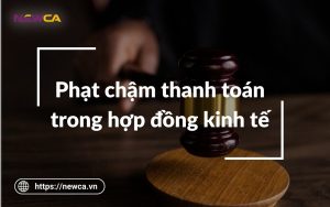 Phạt chậm thanh toán trong hợp đồng kinh tế mới nhất