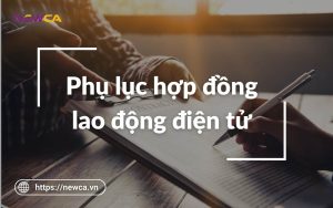 Phụ lục hợp đồng lao động: Thông tin mới nhất năm 2022