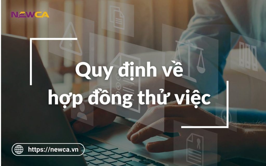 Tổng hợp quy định về hợp đồng thử việc