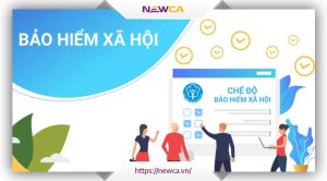 NewCA hướng dẫn tra cứu hồ sơ BHXH điện tử VNPT sau 3 bước