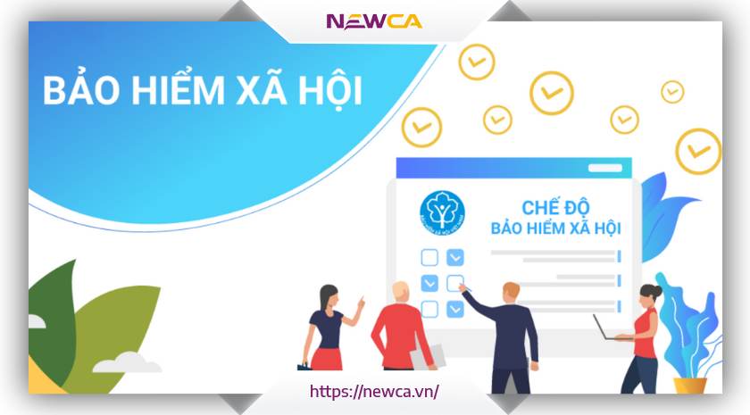 NewCA hướng dẫn tra cứu hồ sơ BHXH điện tử VNPT sau 3 bước