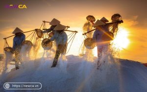 Những ngành nghề không cần đăng ký kinh doanh
