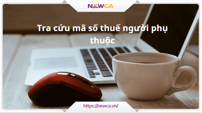 Tra cứu mã số thuế người phụ thuộc