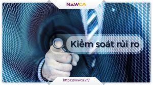 Thông tin về kiểm soát rủi ro mà doanh nghiệp cần lưu ý
