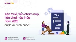 Việc xử lý số tiền thuế, tiền chậm nộp, tiền phạt nộp thừa năm 2023 như thế nào?