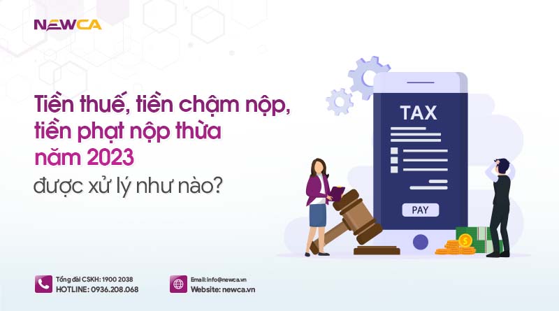 Việc xử lý số tiền thuế, tiền chậm nộp, tiền phạt nộp thừa năm 2023 như thế nào?