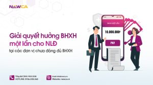 giải quyết BHXH 1 lần cho NLĐ
