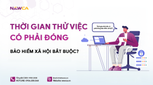 Người lao động trong thời gian thử việc có phải đóng bảo hiểm xã hội bắt buộc?