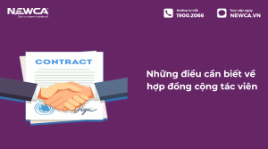 hợp đồng cộng tác viên