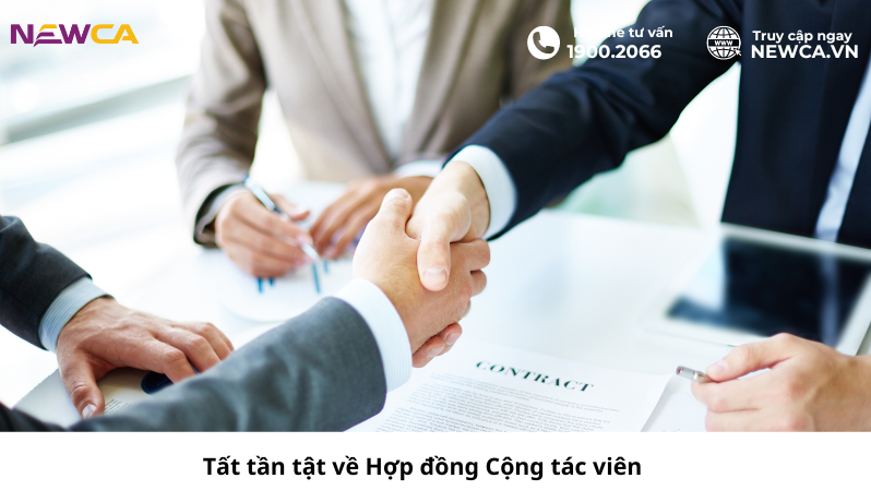 Tất tần tật về Hợp đồng Cộng tác viên