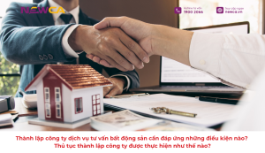 dịch vụ tư vấn bất động sản