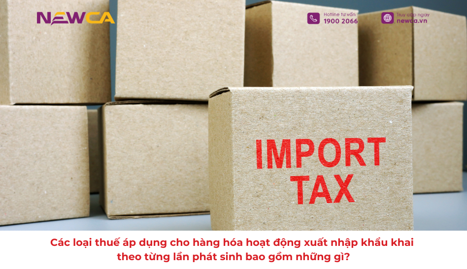 Hoạt động xuất nhập khẩu