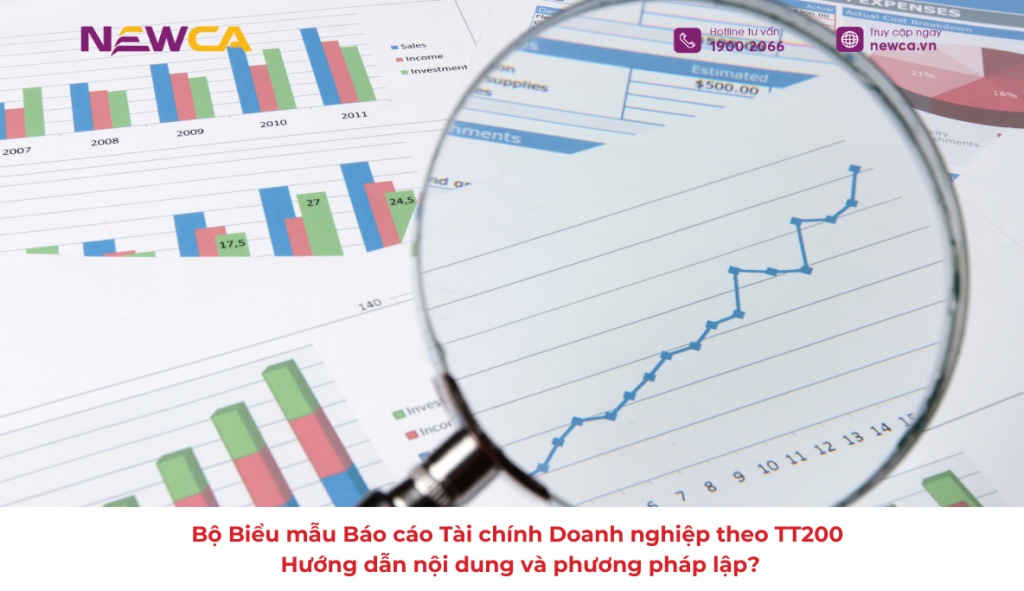 Báo cáo Tài chính Doanh nghiệp