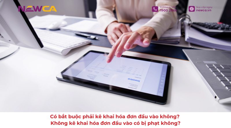 kê khai hóa đơn đầu vào
