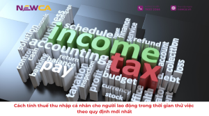 Cách tính thuế thu nhập cá nhân cho người lao động trong thời gian thử việc theo quy định mới nhất