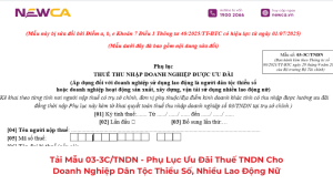 Mẫu 03-3C/TNDN