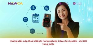 nộp thuế đất phi doanh nghiệp