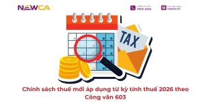 chính sách thuế mới