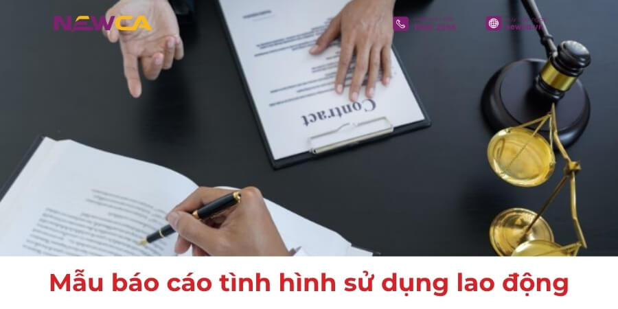 Hướng dẫn kê khai mẫu báo cáo tình hình sử dụng lao động theo Mẫu số 01/PLI