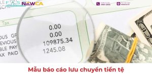 Tổng hợp các mẫu báo cáo lưu chuyển tiền tệ mới nhất và hướng dẫn cách lập